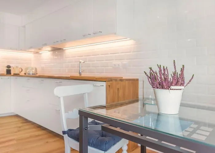 Atelier By Real Vision Funchal